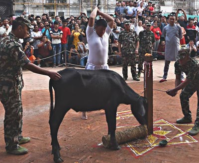 Nepal Army celebrating Maar festival (Dashain)