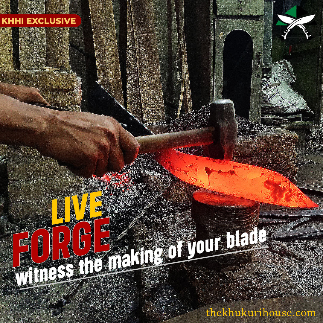live forge