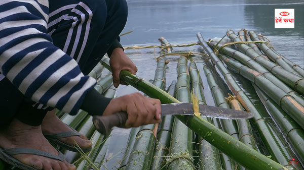 cutting bamboo with khukuri